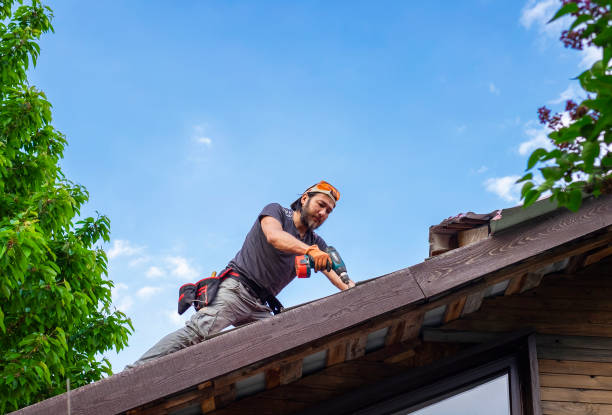 Best Roof Maintenance and Cleaning  in Sidney, OH